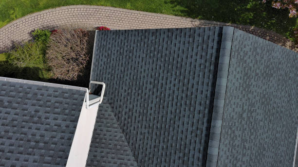 Best Roof Moss and Algae Removal  in St Lawrence, PA